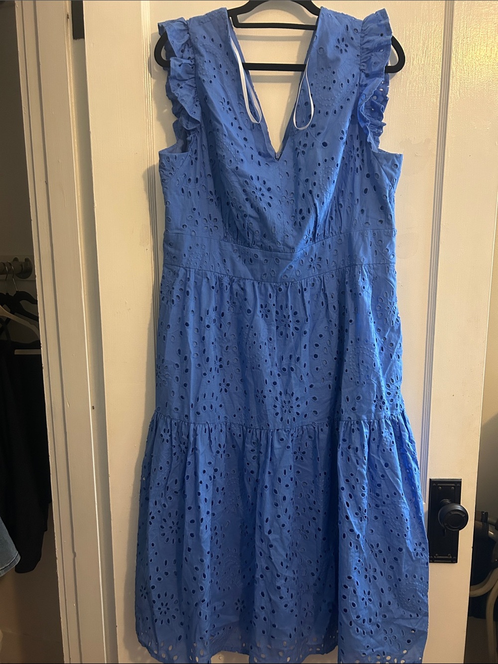 Maggy London Blue Eyelet Ruffle-Sleeve V-Neck Dress